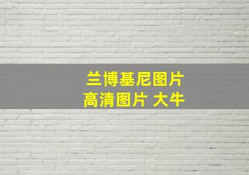 兰博基尼图片高清图片 大牛